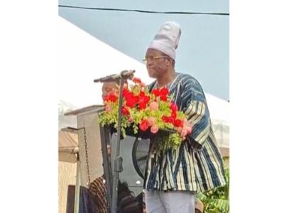 Prez Mahama has assured me that he will sign anti-LGBTQ+ Bill if Parliament passes it - Bagbin 